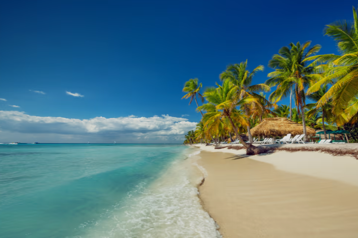 VERANO EN PUNTA CANA | Salida 27 de Enero